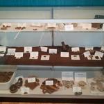 Artifact display case with both Native and European artifacts.